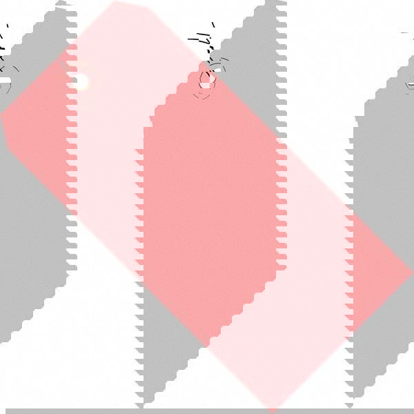 Blank Tag: 6-1/4'' High, Pink, Synthetic Paper